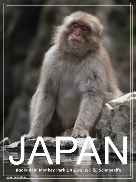 Jigokudani Monkey Park